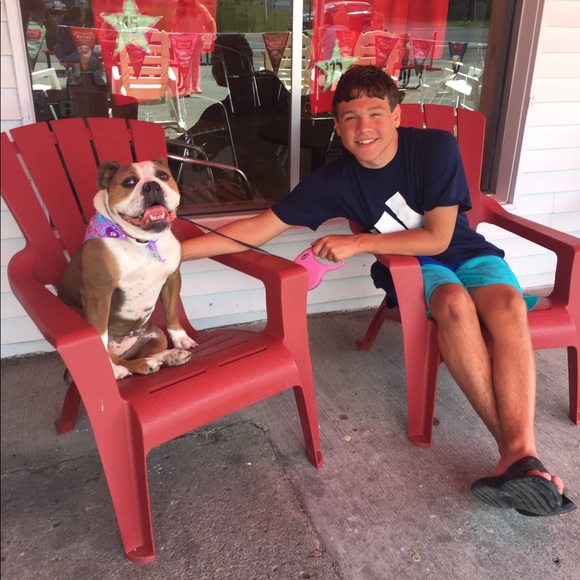 Meet your Posher, Layla - Picture 7 of 16